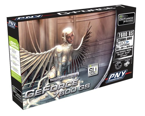 Projektoren: PNY NVIDIA Geforce 7600 GS Grafikkarte PCI-Express, 256MB DDR Ram, Retail