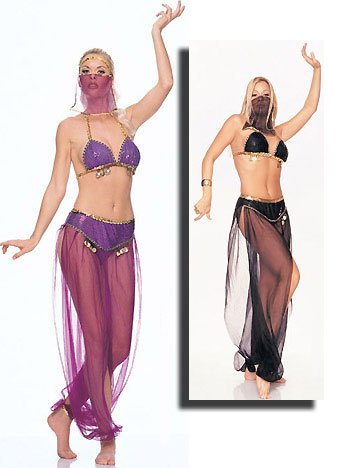 FREE SHIPPING - Harem Dancer - Womens Sexy Belly Dance Costume Lingerie Outfits by 3WISHES.COM