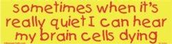 sometimes when it`s really quiet I can hear my brain cells dying bumper sticker