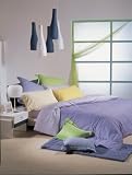 Twin Stripe 4 Pieces Sheets, Duvet Cover and Pillow Shams Set