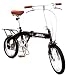 バイオックス(BIOX) たてるくん 16インチ折りたたみ自転車 ブラック BS162-BK