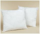 Set of Two Feather/Down EURO 16x16 Pillow Form Cushion 24 oz each