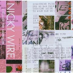 Nicky Wire/I Killed The Zeitgeist