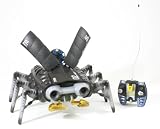 Amazon Exclusive Black N.S.E.C.T