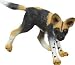   - Wild Safari African Wild Dog Pup