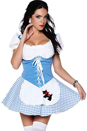 FREE SHIPPING - Dorothy Girl - Womens Sexy Wizard of Oz Costume Lingerie Outfits by 3WISHES.COM