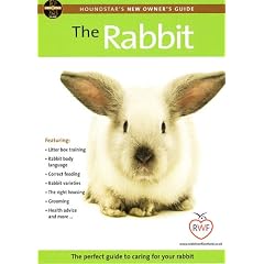 rabbits