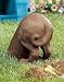   - Dachshund Doxie Beagle Hound Terrier Half Digging Dog Statue Garden Lawn Yard Puppy Dogs Home Decor
