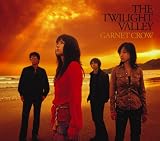 THE TWILIGHT VALLEY