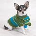 SMALL - Chilly Day Dog Sweater w/ Matching Scarf