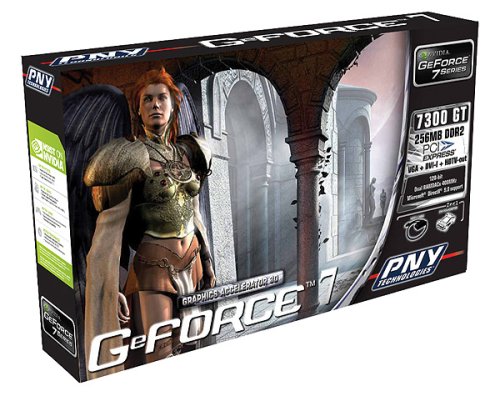 Projektoren: PNY NVidia 7300 GT Grafikkarte PCI-Express DVI, TV-Out (256 MB DDR Ram) Retail
