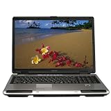 Toshiba Satellite P105-S6134 17" Widescreen Notebook PC (Intel Core 2 Duo Processor T5200, 2048 MB RAM, 200 GB Hard Drive, DVD SuperMulti Drive)
