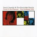 Could It Be Forever - The Greatest Hits