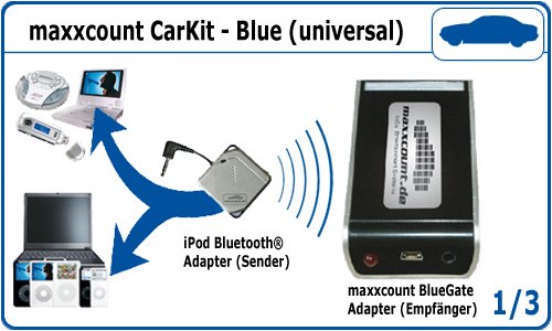 Camcorder: CarKit-Blue (universal) f�r Seat (Werksradios Beta/Aura/Scala oder VAG-Navigationssystem)