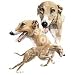   - Greyhound Night Light