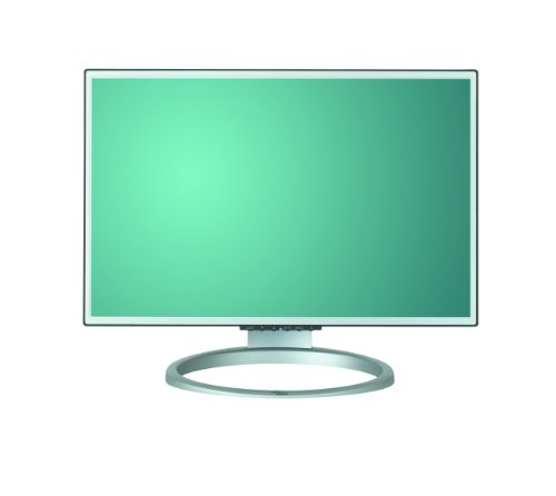 Festnetztelefone: Fujitsu Siemens L22-1W 22 Zoll Wide Screen TFT Monitor (Kontrast 700:1, 5 Ms Reaktionszeit)