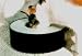   - Standard Pet Sipper - Pet Watering Station