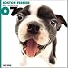   - THE DOG Artlist - 2007 Boston Terrier Wall Calendar