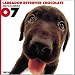   - THE DOG Artlist - 2007 Chocolate Labrador Retriever Wall Calendar