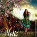 Metis