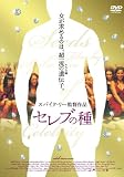 セレブの種