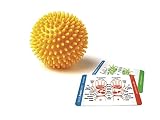 Porcupine Massage Ball