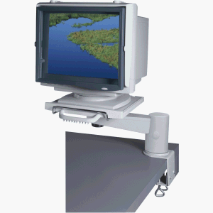 Festnetztelefone: Fellowes Monitor Arm Ease/91691-70 platin/graphit