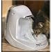   - Drinkwell Platinum Fountain 