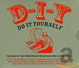Various Artists/Do It Yourself: The Rise of the Independent Music Industry After Punk [Compilation] [from UK] [Import]