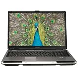 Toshiba Satellite P105-S9337 17" Notebook PC (Intel Core 2 Duo Processor T7200, 2 GB RAM, 200 GB Hard Drive, SuperMulti DVD Drive, Vista Premium)
