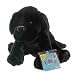 Webkinz Black Lab