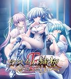 カスタム隷奴Ｆ Special Edition プラグインディスク付初回限定版