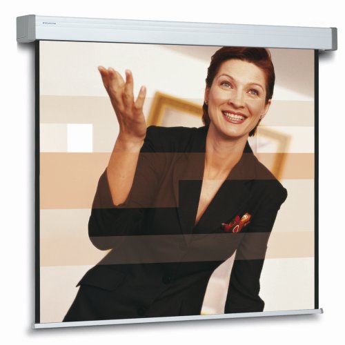 Drucker: Elpro electrol 240x240cm Datalux-M (Gain 1.5)