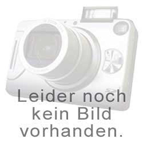 Festplatten: Sony Ersatzakku f�r Clie PEG-T415/-T665/-T655C, 700mAh