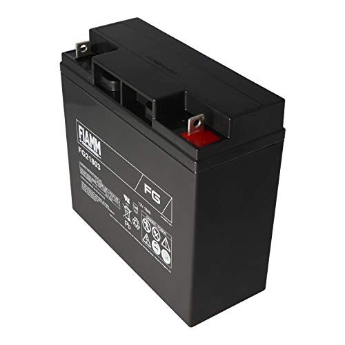 Festnetztelefone: Fiamm FGC21803 Cyclic | 18Ah
