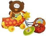 Bear In Car