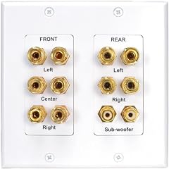 Dayton WPI-5.1 5.1 Channel Wall Plate