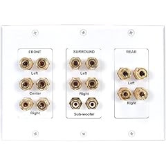 Dayton WPI-7.1 7.1 Channel Wall Plate