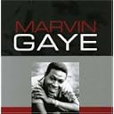 CD Cover Art