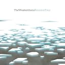 CD Cover Art