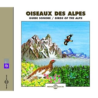 CD Cover Art