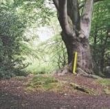 Will Saul/Simple Sounds: Mixed By Will Saul [from UK] [Import]