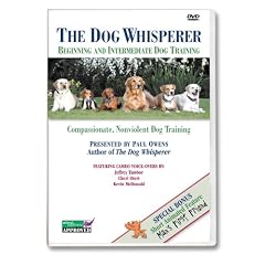 The Dog Whisperer: Beginning and Intermediate Dog Training