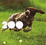 Various Artists/200 [Compilation] [from US] [Import]