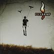 Flyleaf