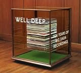 Various Artists/Well Deep: 10 Years of Big Dada Records [Compilation] [from US] [Import]