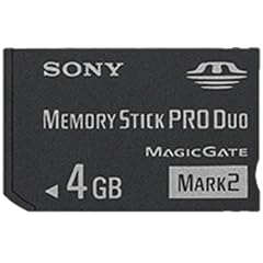 Sony 4 GB Memory Stick PRO Duo Flash Memory Card MSMT4G