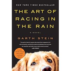 The Art of Racing in the Rain