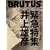 BRUTUS (ブルータス) 2008年 7/1号 [雑誌]