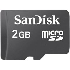 SanDisk SDSDQ-002G-A11M MicroSD 2GB Card (Black)